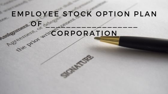 Employee Stock Option Plan of __________________ Corporation
