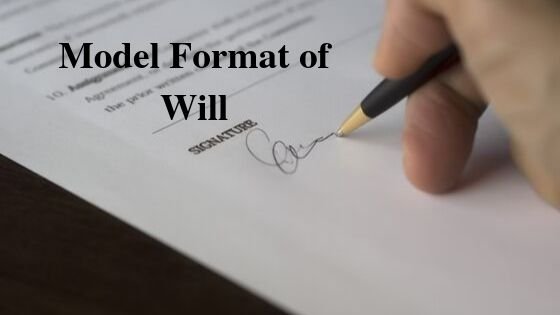 Model Format of Will