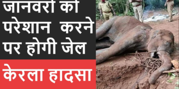 Animal Laws in India